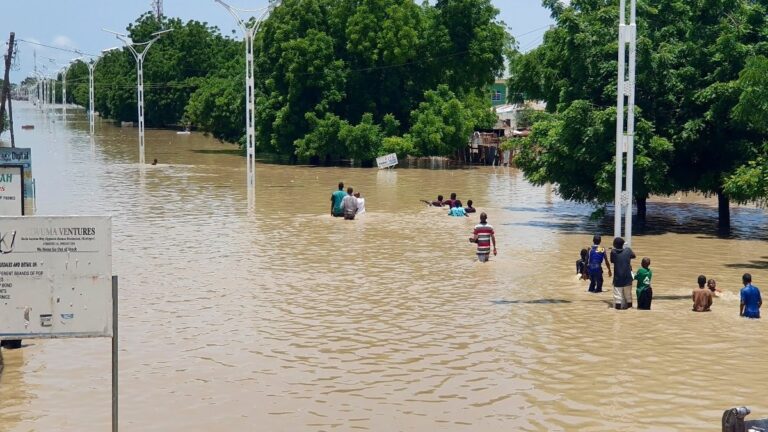 नाइजीरिया में भयंकर बाढ़ का कहर: अब तक 115 लोगों की मौत, हालात बेहद गंभीर