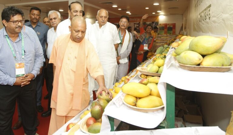 सीएम योगी करेंगे आम महोत्सव का शुभारंभ, आमों का अंतरराष्ट्रीय निर्यात भी होगा रवाना