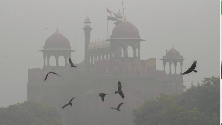 दिल्ली-एनसीआर में जहरीली हवा का असर, पक्षियों की चहचहाहट हुई कम, प्रजनन क्षमता घटने लगी